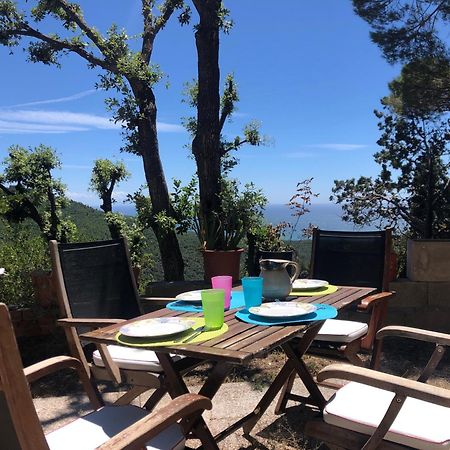 Villa Erika Montenero  Εξωτερικό φωτογραφία