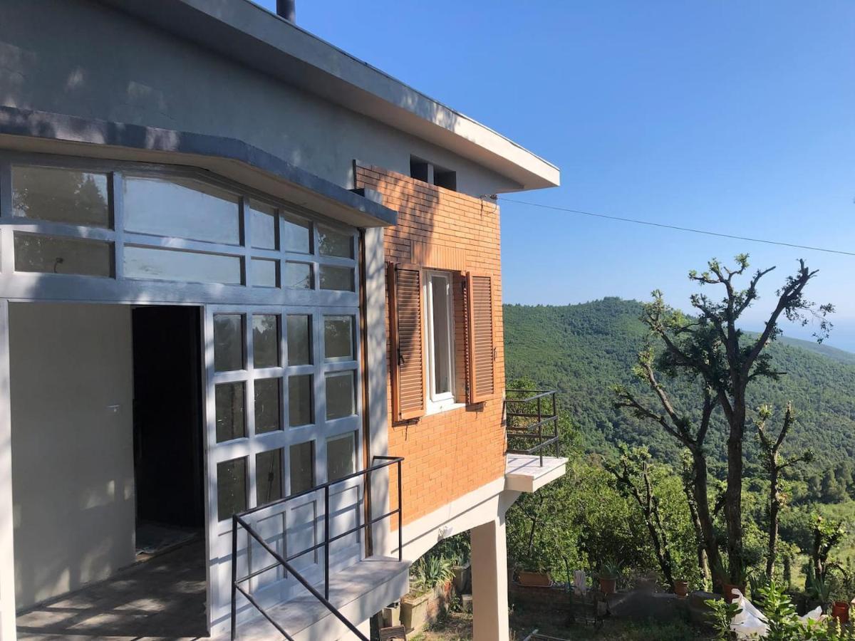 Villa Erika Montenero  Εξωτερικό φωτογραφία
