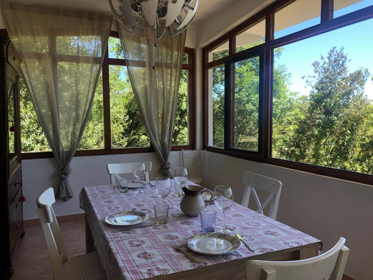 Villa Erika Montenero  Εξωτερικό φωτογραφία