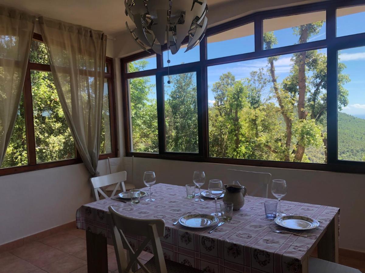 Villa Erika Montenero  Εξωτερικό φωτογραφία