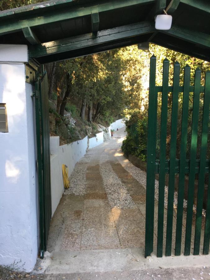 Villa Erika Montenero  Εξωτερικό φωτογραφία