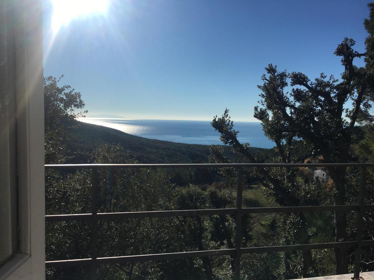 Villa Erika Montenero  Εξωτερικό φωτογραφία