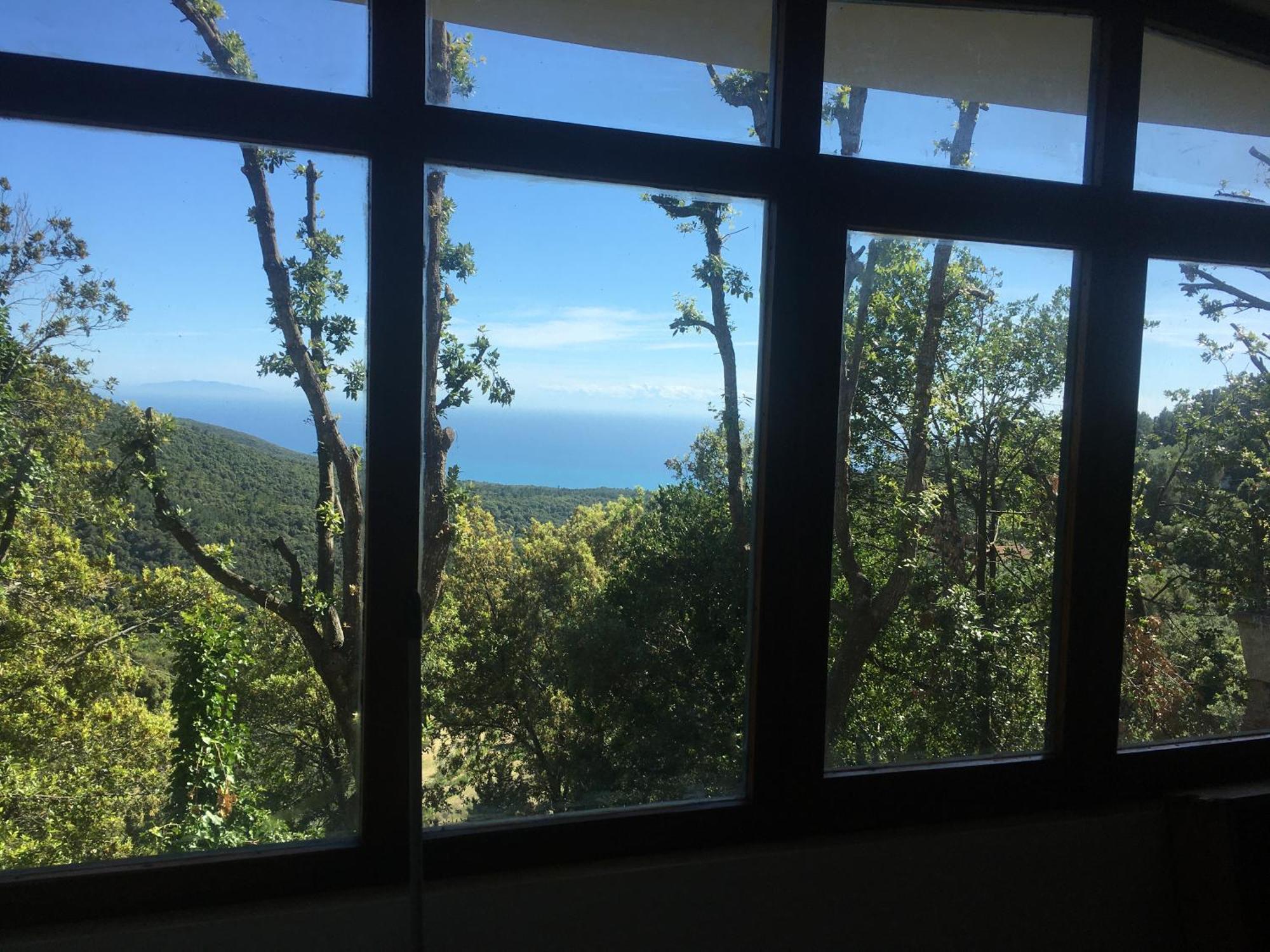Villa Erika Montenero  Εξωτερικό φωτογραφία